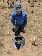 Load image into Gallery viewer, WOMBAT TOOL - Planter Pro