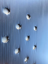 Load image into Gallery viewer, Medium - Pioneer Plus Guard 500mm High