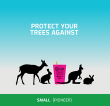 Load image into Gallery viewer, Small – Pioneer Guard 400mm High